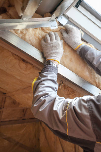 Best Spray Foam Insulation  in Avilla, AR