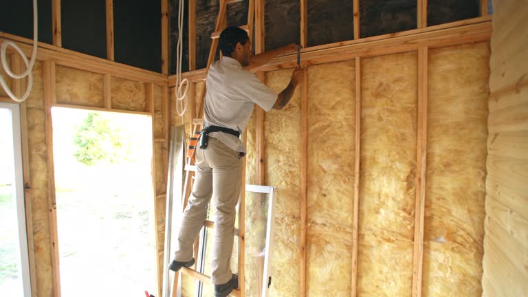 Best Attic Insulation Installation  in Avilla, AR